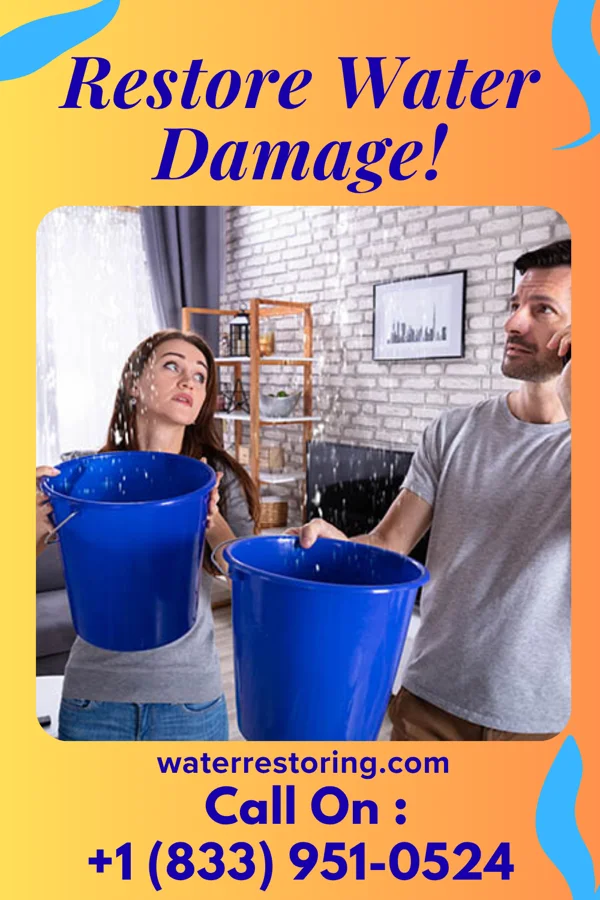 water restoration Platinum Drying Inc Buffalo