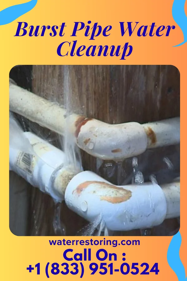 Burst Pipe Water Cleanup in Buffalo, WV