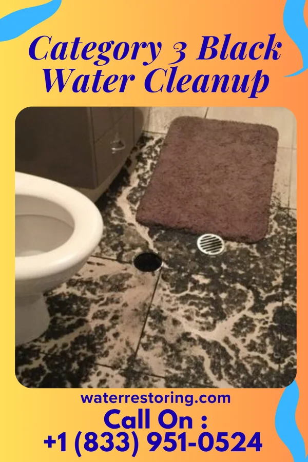 Category 3 Black Water Cleanup in Buffalo, WV