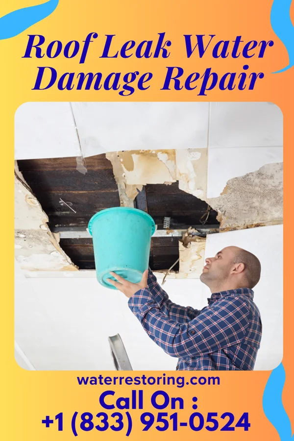 Roof Leak Water Damage Repair in Buffalo, WV
