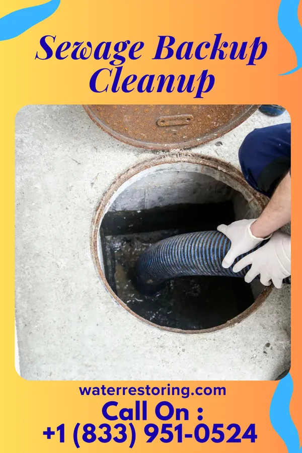 Sewage Backup Cleanup in Buffalo, WV