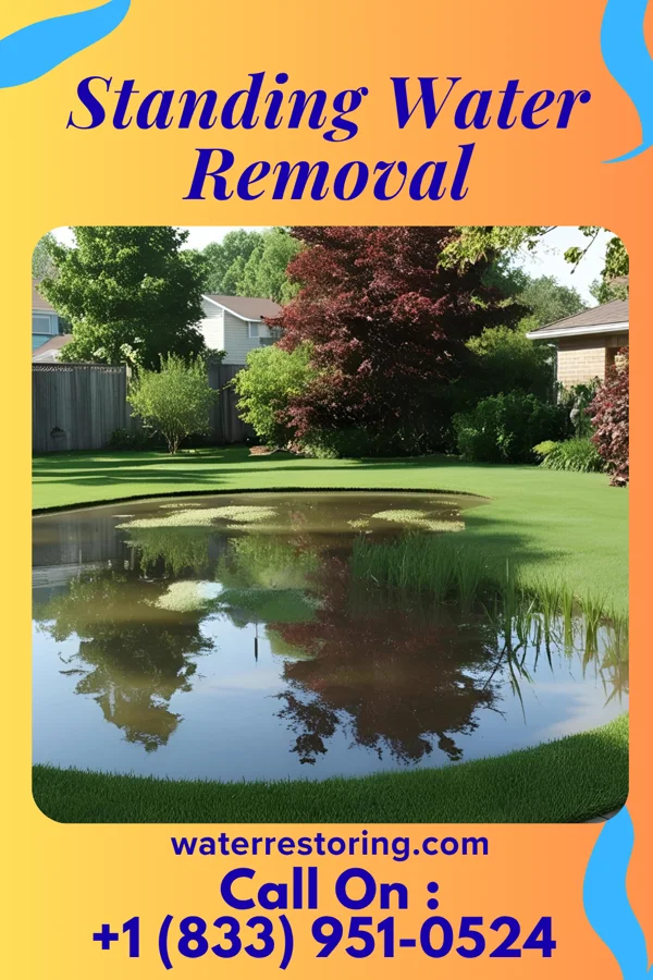 Standing Water Removal in Buffalo, WV